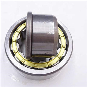 Our customer ask for the types of cylindrical roller bearing