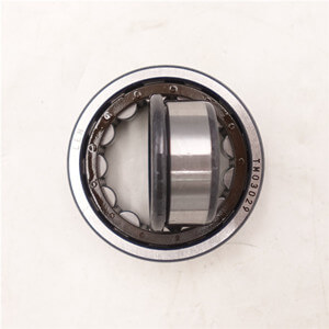 Various Separation Flexible Bearing -Ball and Roller Structure