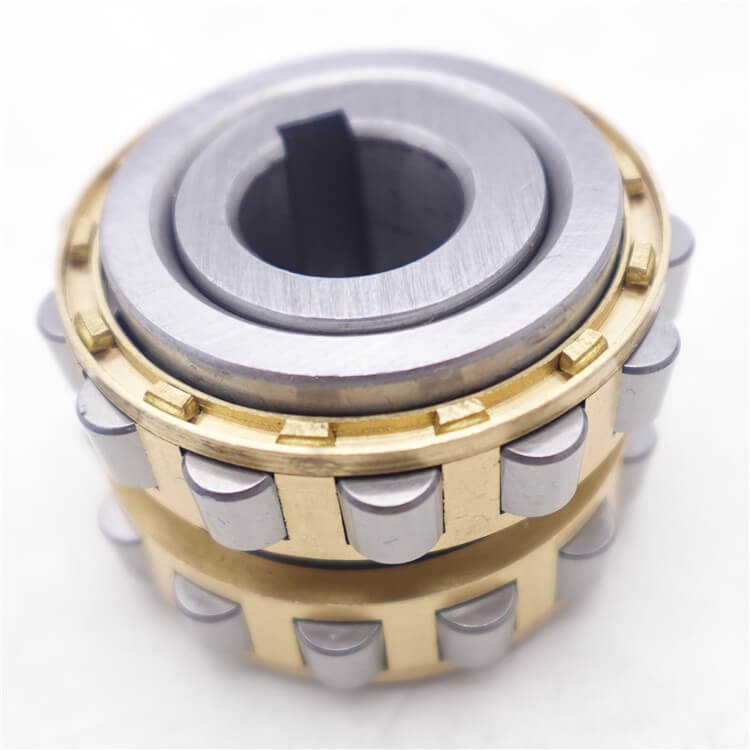 RN219m bearing cylindrical roller bearing
