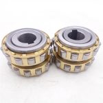 RN219m bearing cylindrical roller bearing