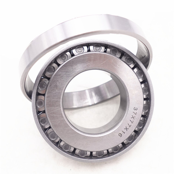 stainless roller bearings single