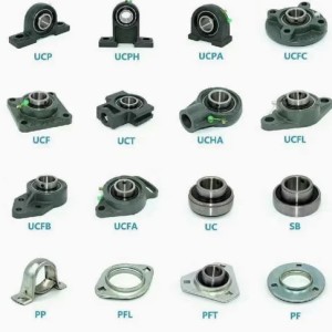 Features of pillow block 205 bearing