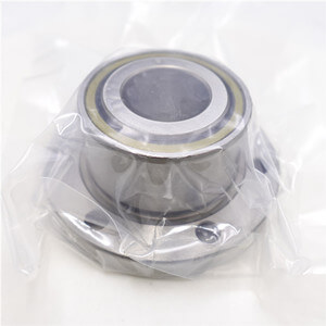 Flange Double Row Angular Ball Bearing FL760205 P4 DBB
