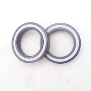 6806 2RS Full Si3N4 Ceramic Thin Wall Deep Groove Ball Bearing 6806CE With PTFE Seal