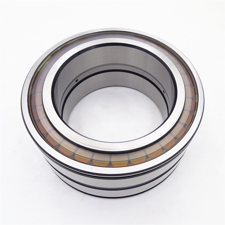 sl04 5020 pp bearing