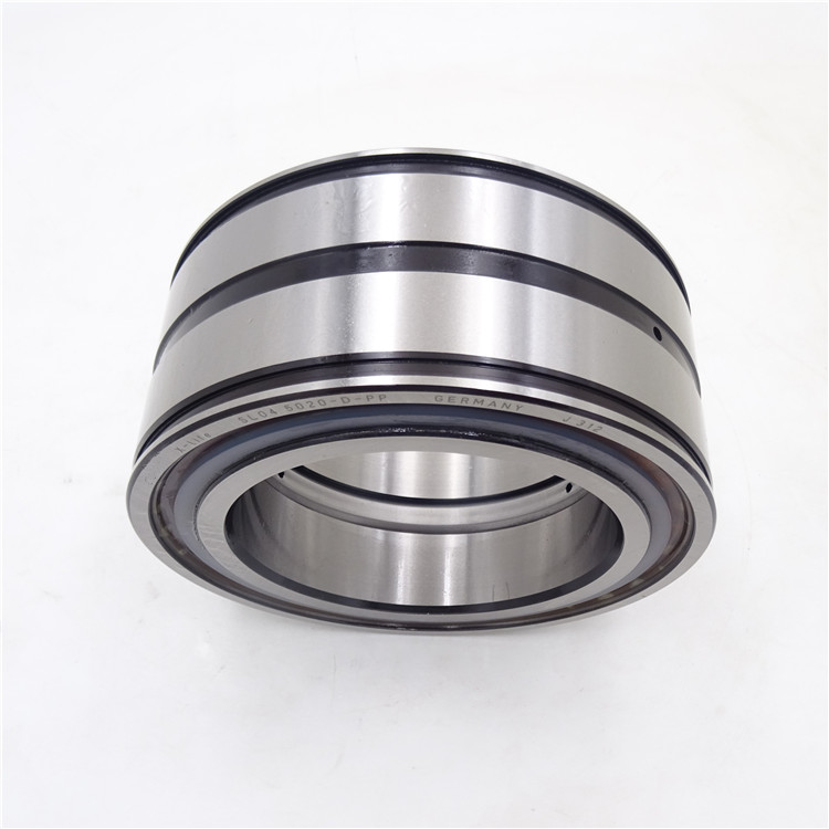sl04 5020 pp bearing