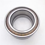 SL04 5020 PP Double Row Full Cylindrical Roller Bearing