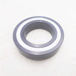 Full Ceramic Ball Bearing 6008 2RS Bearing Si3N4 PTFE Seal