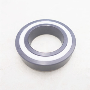 Full Ceramic Ball Bearing 6008 2RS Bearing Si3N4 PTFE Seal