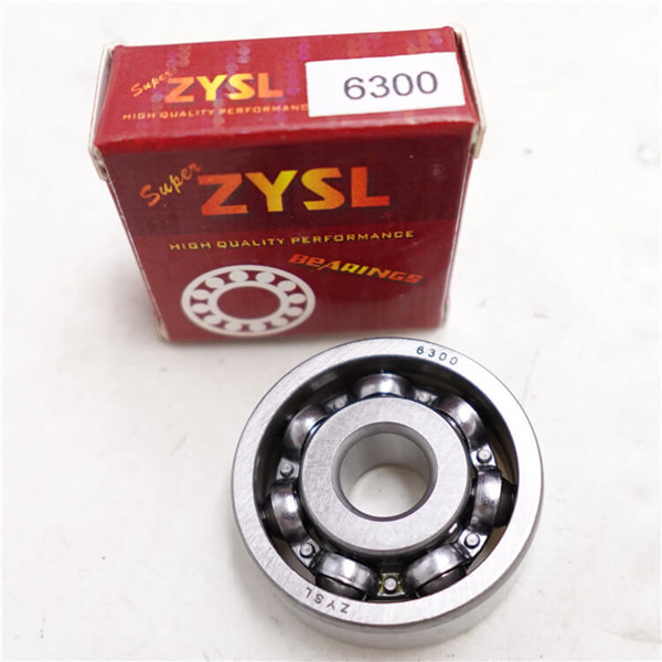 ball bearing 6300