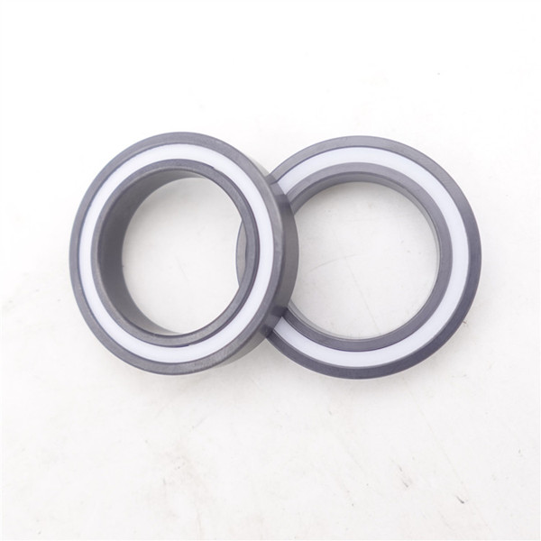 6902rs bearing si3n4