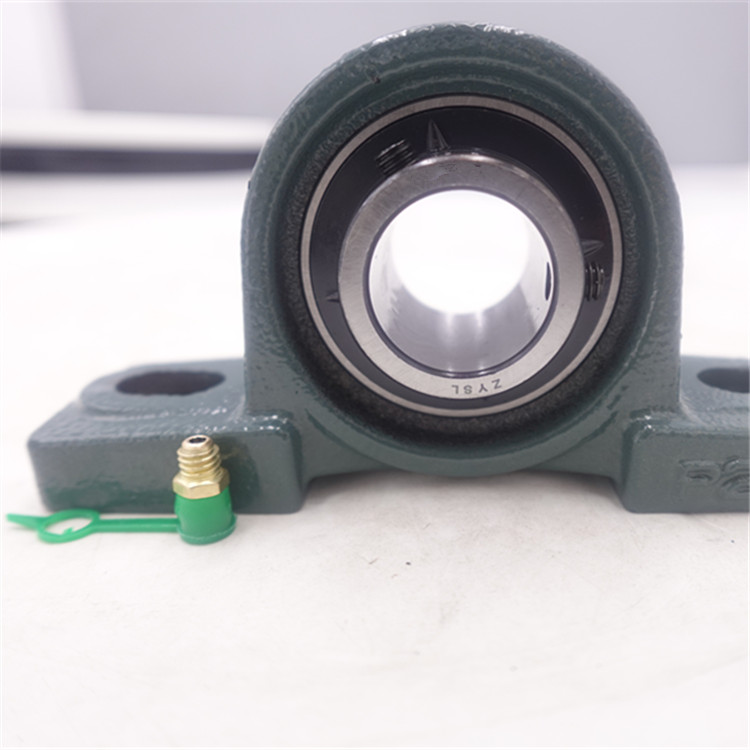 UCP218 Pillow Block Mounted Bearings Cast Iron Housing