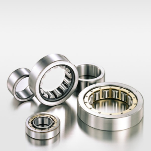 Bearing Cylindrical Roller Bearing Type